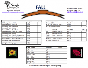 Fall Product Availability