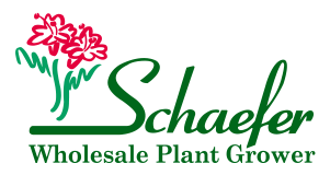 Schaefer Greenhouses Wholesale Logo