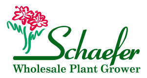 www.schaeferwholesaleplantgrower.com